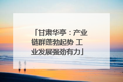 甘肃华亭：产业链群蓬勃起势 工业发展强劲有力